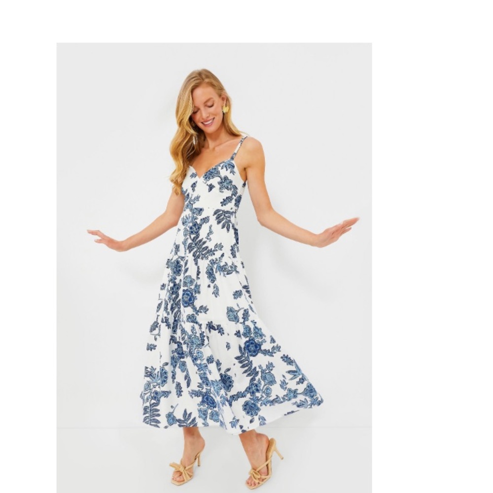 Tuckernuck Moon River Blue Multi Plunge Maxi Dress size M NWT